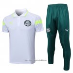 Conjunto Polo Palmeiras 2023-2024 Grey