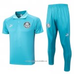 Conjunto Polo Palmeiras 2023-2024 Green